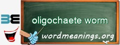 WordMeaning blackboard for oligochaete worm